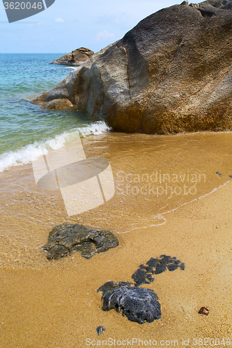 Image of kho samui   bay asia isle white  beach  tree   china sea 