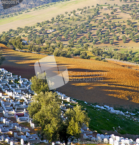 Image of from high in the village morocco africa field and constructions