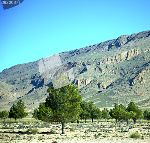 Image of valley in   africa morocco the atlas dry mountain ground isolate