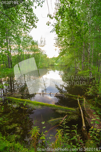 Image of Forest Lake    