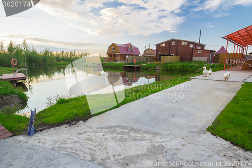 Image of At the pond  