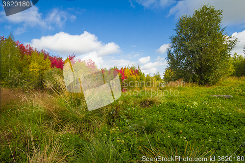 Image of Autumn approaches