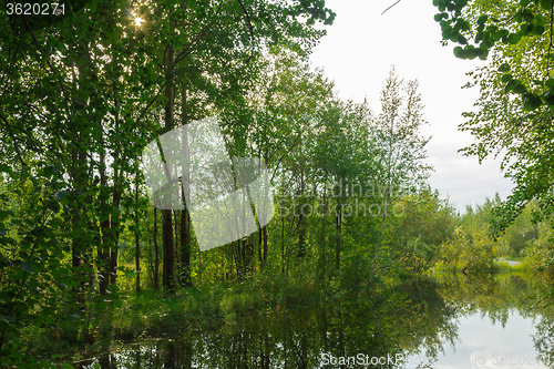 Image of Forest Lake    