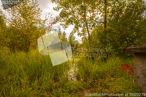 Image of Autumn approaches