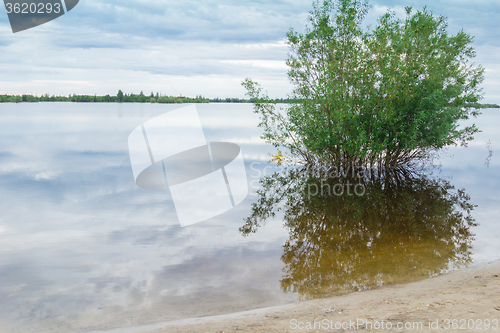 Image of by the river   