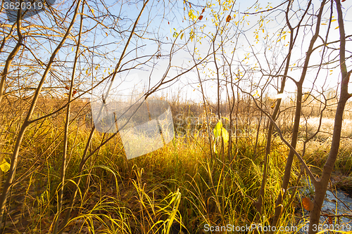 Image of Natural landscape