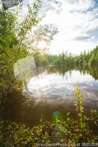 Image of Forest Lake    