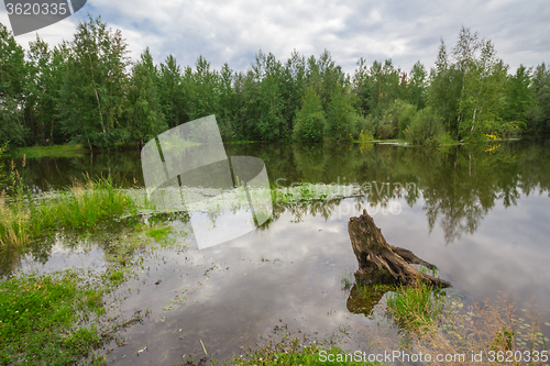 Image of Forest Lake    