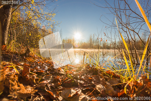 Image of Natural landscape