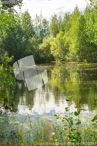 Image of Forest Lake    