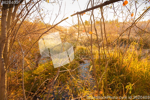 Image of Natural landscape