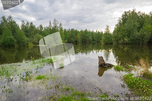 Image of Forest Lake    