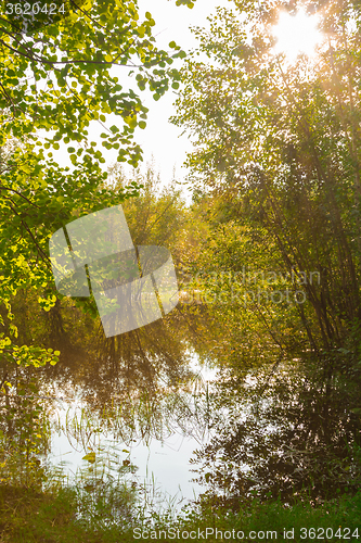 Image of Forest Lake    