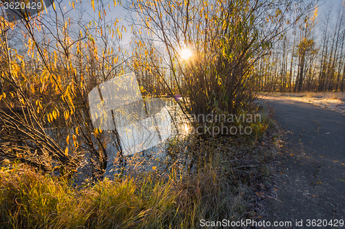 Image of Natural landscape