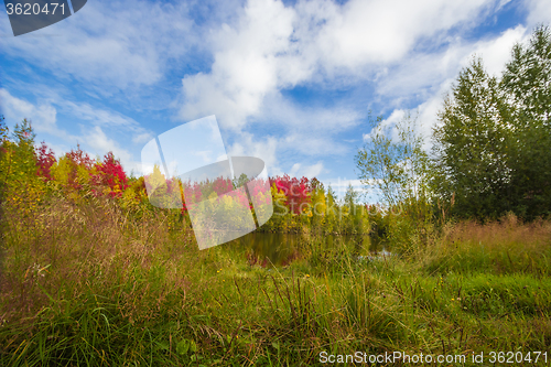 Image of Autumn approaches