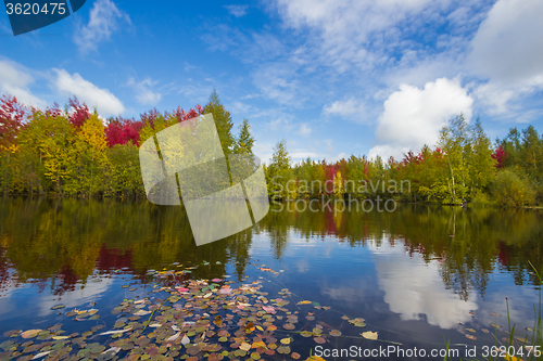 Image of Autumn approaches