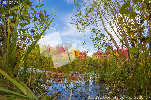 Image of Autumn approaches