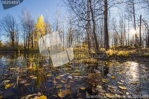 Image of Natural landscape