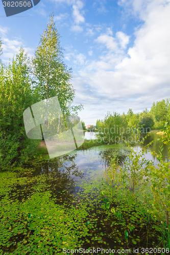 Image of Forest Lake    