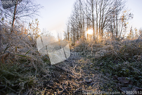 Image of Natural landscape