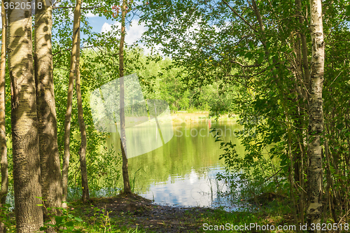 Image of Forest Lake    