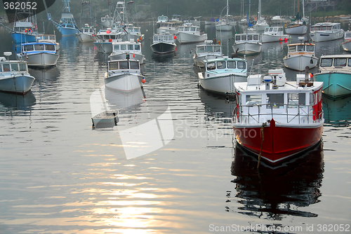 Image of Fishing boats in harbor