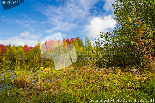 Image of Autumn approaches