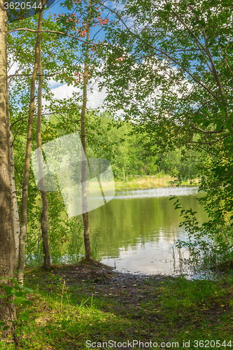 Image of Forest Lake    