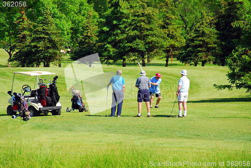 Image of Seniors golfing