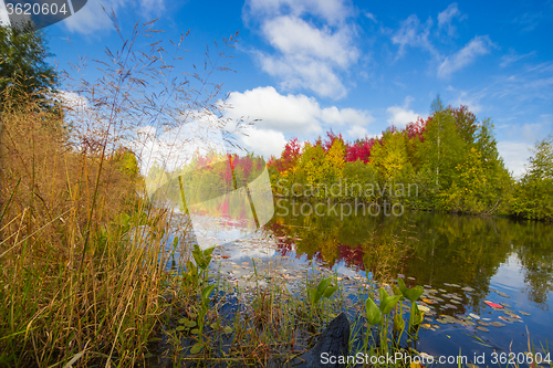 Image of Autumn approaches