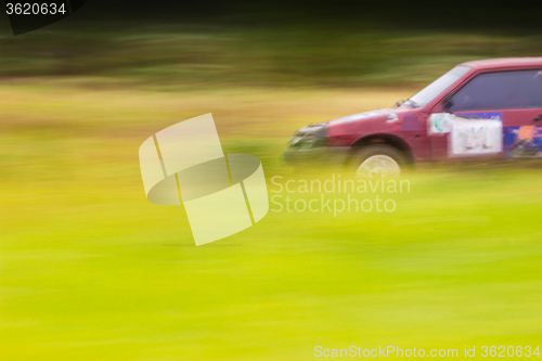 Image of Ring race