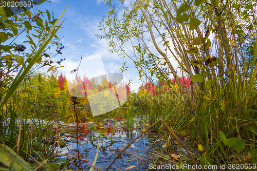 Image of Autumn approaches