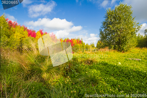 Image of Autumn approaches