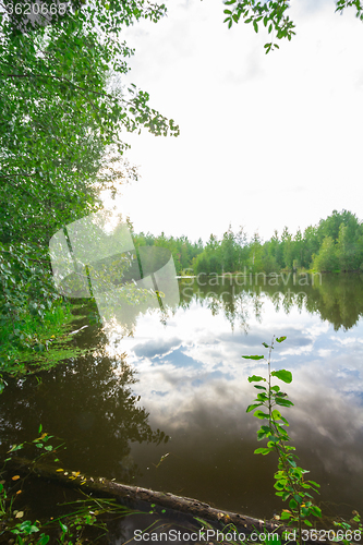 Image of Forest Lake    