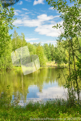 Image of Forest Lake    