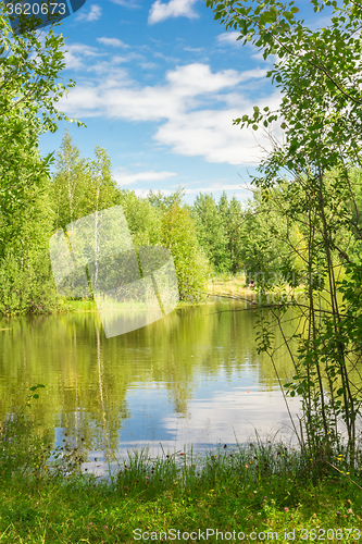 Image of Forest Lake    