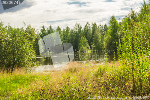 Image of Forest Lake    