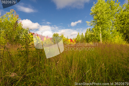 Image of Autumn approaches