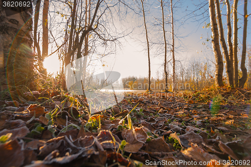 Image of Natural landscape