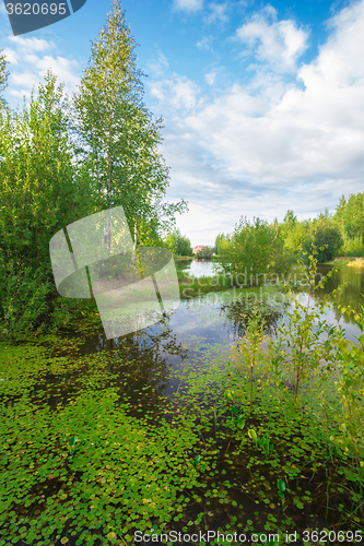 Image of Forest Lake    