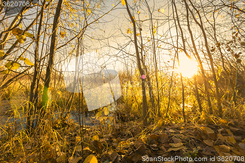 Image of Natural landscape