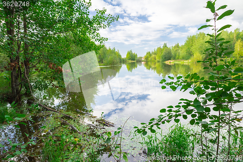 Image of Forest Lake    