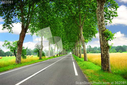 Image of French country road