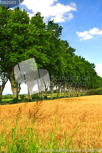 Image of French country road