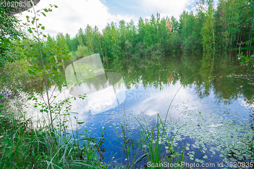 Image of Forest Lake    