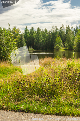 Image of Forest Lake    