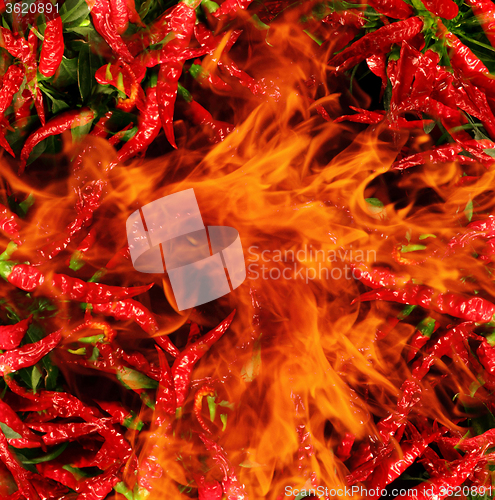 Image of chili in the flames