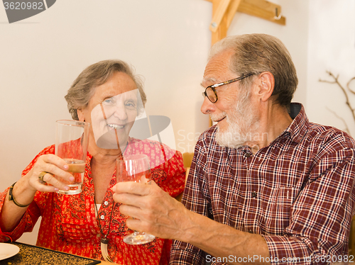 Image of Old couple toasting 