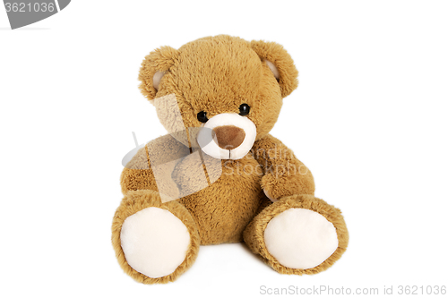 Image of Brown teddy bear