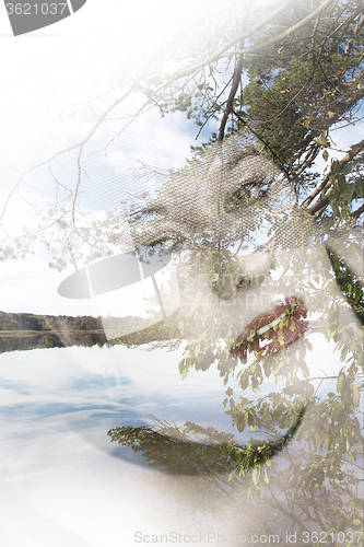 Image of Portrait of a young lady and landscape, double exposure